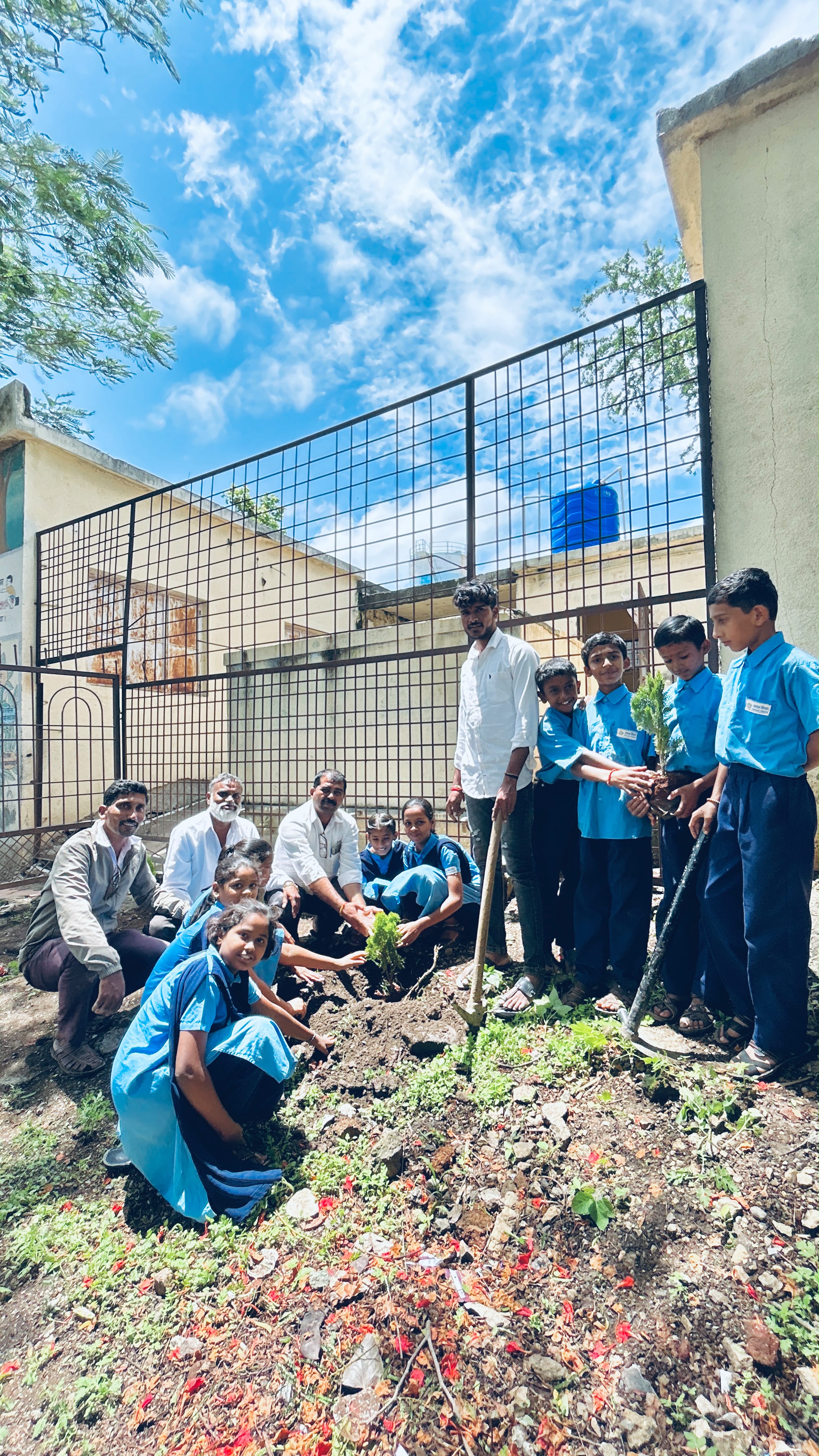 Tree Plantation Eco